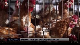 VIDEO Primul deces cauzat de gripa aviară confirmat de OMS
